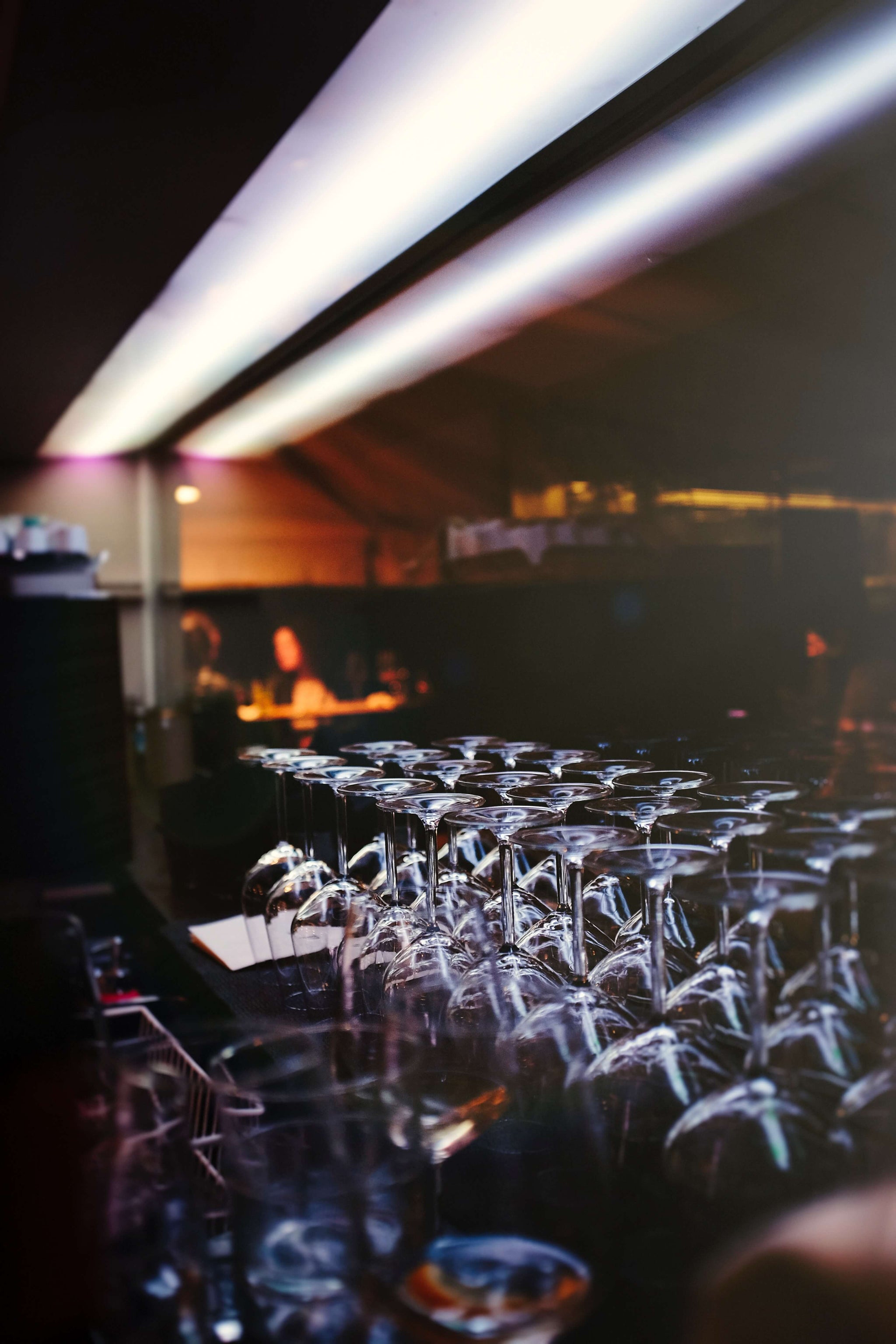 Your Wine School in Michigan I Learn. Discover. Enjoy. Michigan Wine