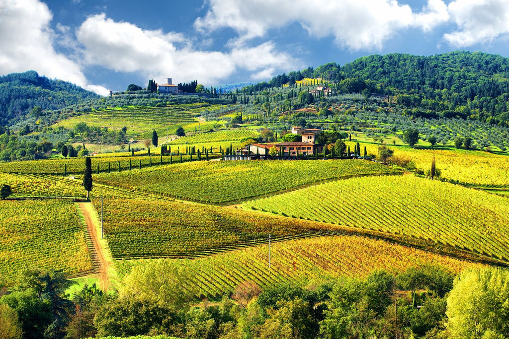 2025 Tuscany Wine Trip